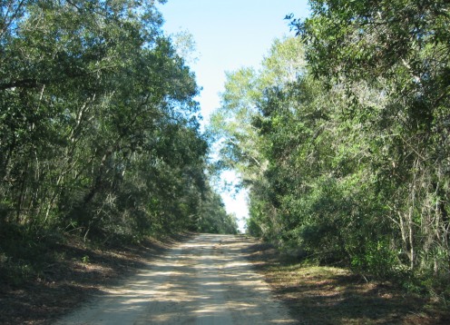 Clayton Road gate