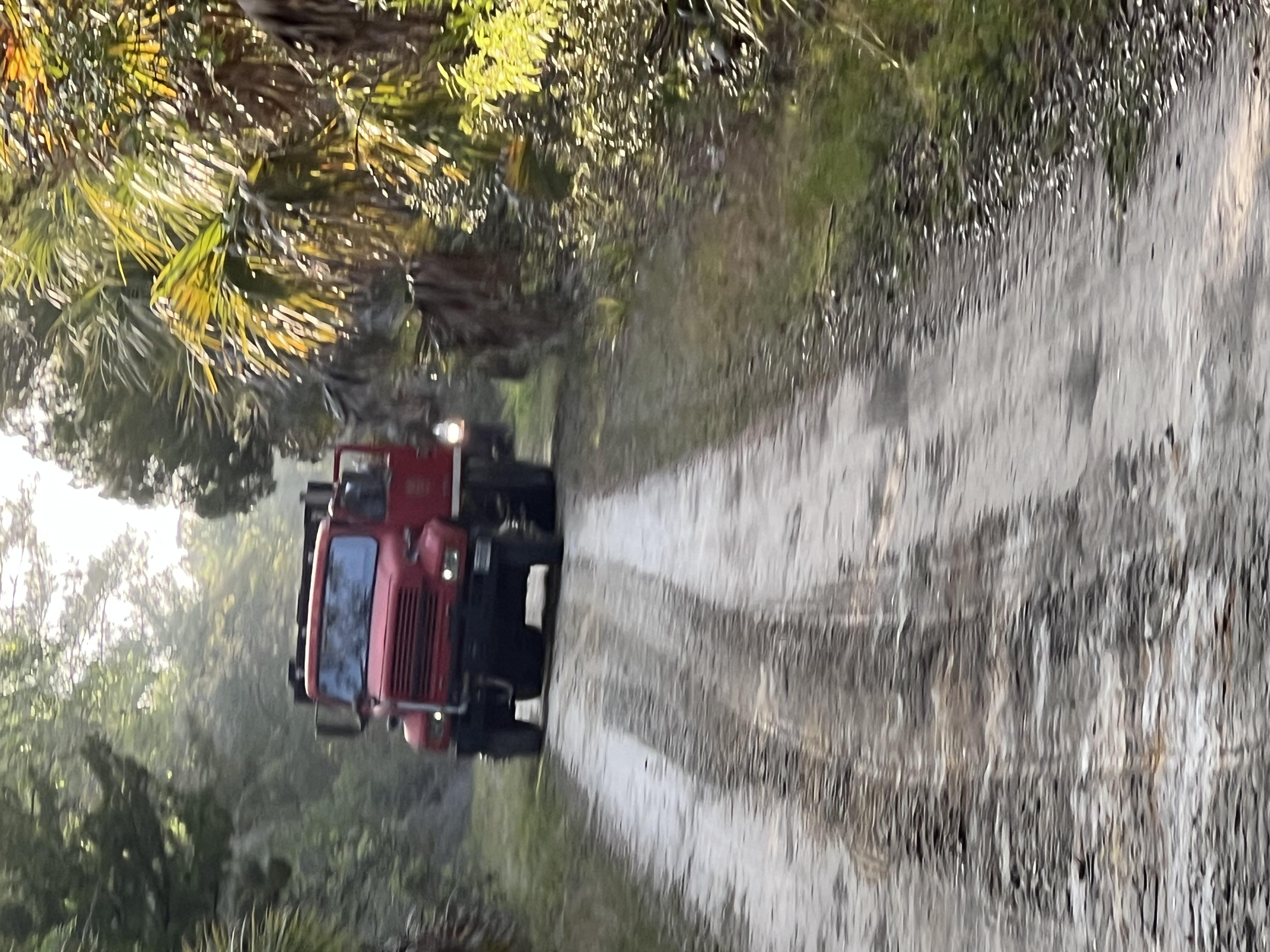 Forestry Division monitoring fires